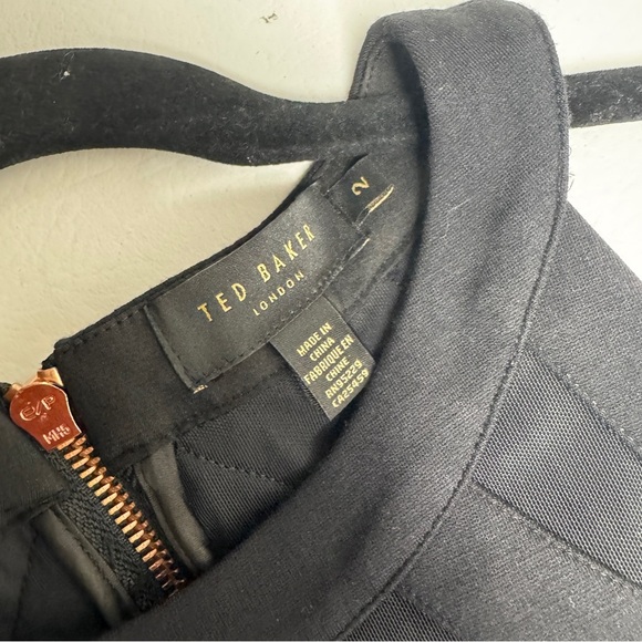 Ted Baker Sheer Panel Sleeveless Back Zip Bodycon Little Black Dress Sz 2 - Picture 6 of 12